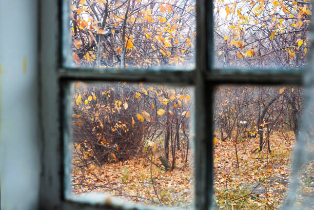 istock Softly blurred old window with autumn landscape 1063649926