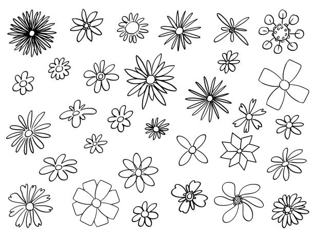 ilustraciones, imágenes clip art, dibujos animados e iconos de stock de vector ilustración con el dibujo dibujo de conjunto de flores en la floración - daisy multi colored flower bed flower