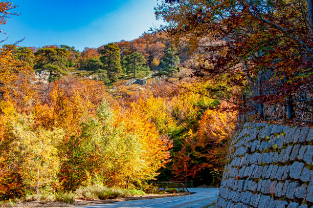 istock Corsica in autumn 1063653988