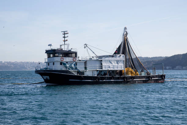 fishing trawler - rede de arrastão imagens e fotografias de stock