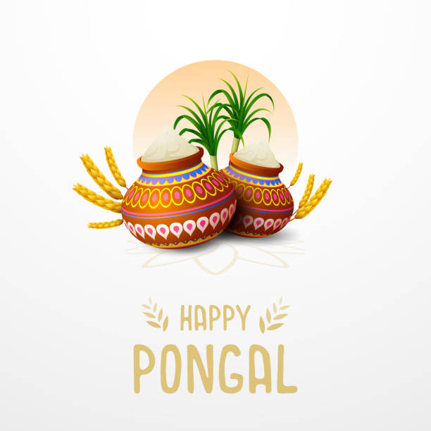 白い背景の上の幸せ pongal グリーティング カード - rice white rice backgrounds cereal plant点のイラスト素材／クリップアート素材／マンガ素材／アイコ�ン素材