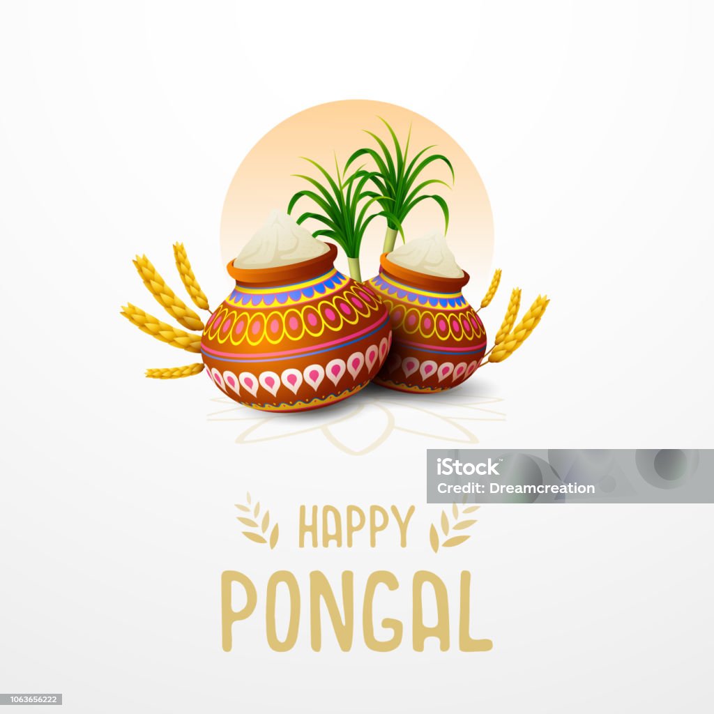 Happy Pongal Greeting Card On White Background Stock Illustration ...