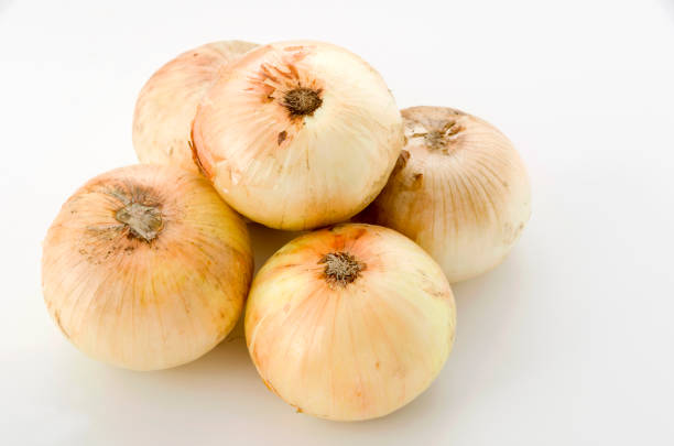 istock season-fresh onion, new onion 1063656342