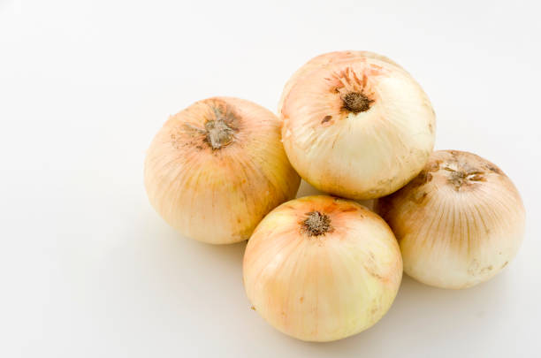 istock season-fresh onion, new onion 1063656416