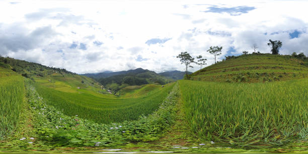 istock 360 degree Vietnam rice terrace 1063656604