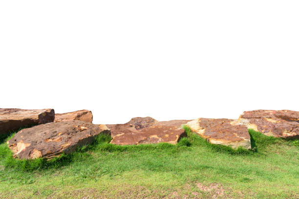 Meadow rock