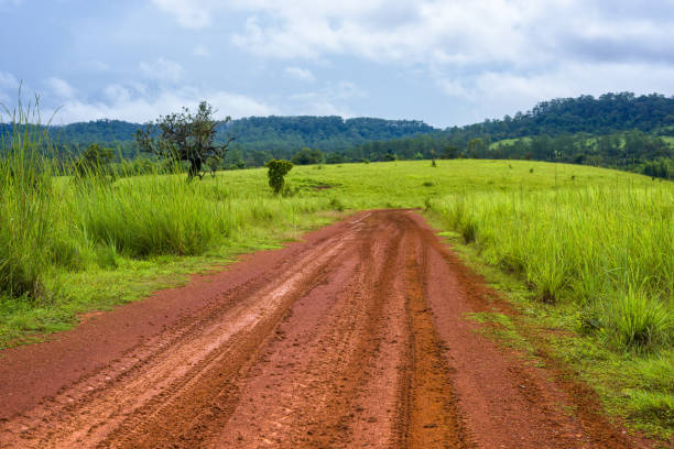 istock Dirt road through the meadow 1063662560