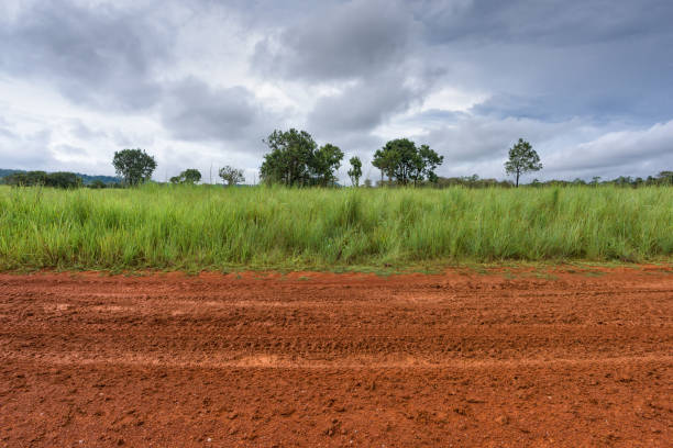 牧草地のある土の道端の景色 - red mud ストックフォトと画像