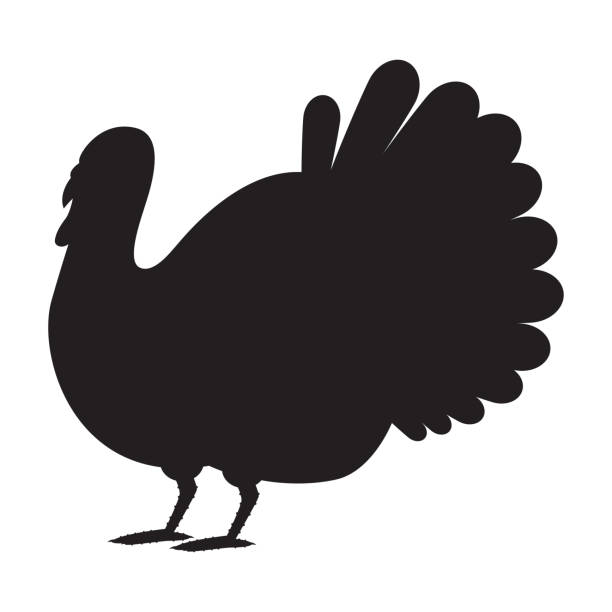 Turkey bird black silhouette. Vector icon isolated on white background. Turkey bird vector cartoon silhouette. fat humor black expressing positivity stock illustrations
