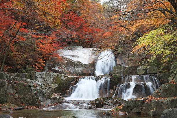 istock VD717 Autumn in Korea 1063665948