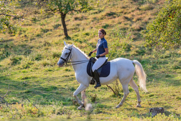 istock Woman horseback riding on meadow 1063665958