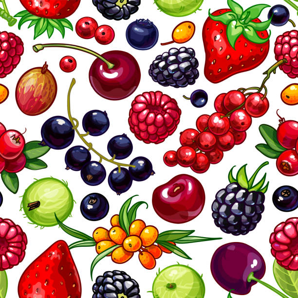 ilustraciones, imágenes clip art, dibujos animados e iconos de stock de bayas de verano vector blanco y negro de patrones sin fisuras - gooseberry fruit bush green