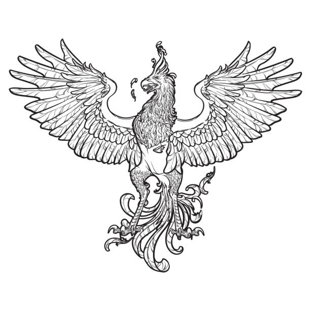 эскиз рисунка феникса изолированы на белом фоне. - phoenix fire tattoo bird stock illustrations