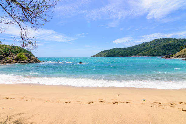 istock Beautiful wave on the beach, clear water 1063676926