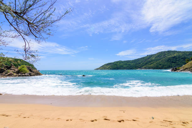istock Beautiful wave on the beach, clear water 1063677194