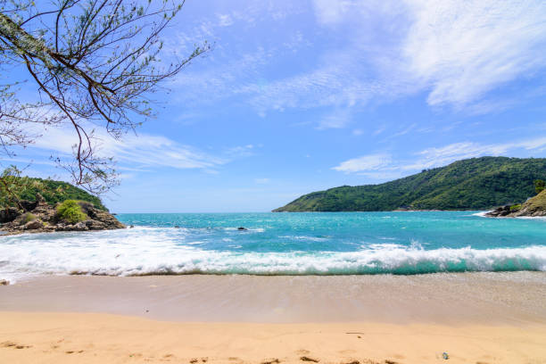 istock Beautiful wave on the beach, clear water 1063677212