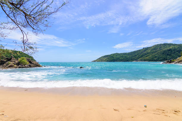 istock Beautiful wave on the beach, clear water 1063677296