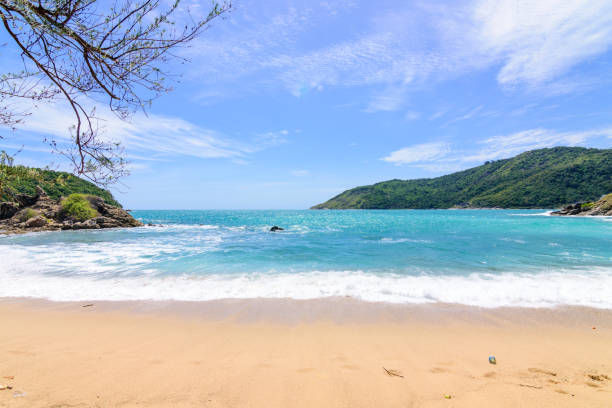 istock Beautiful wave on the beach, clear water 1063677326