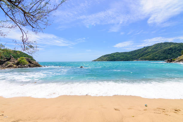 istock Beautiful wave on the beach, clear water 1063677384