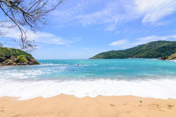 istock Beautiful wave on the beach, clear water 1063677428