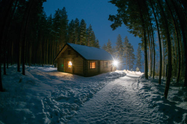 istock A lonely house in a pine forest 1063677434