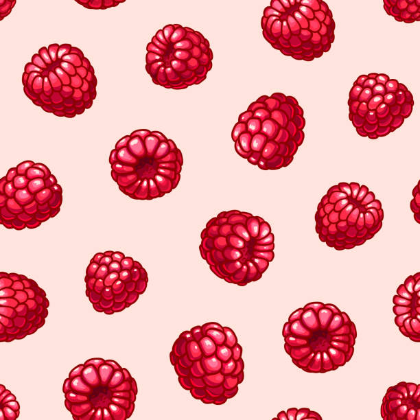 Raspberry vector seamless pattern. Raspberry vector seamless pattern. Summer fruit and berries red color background raspberry stock illustrations