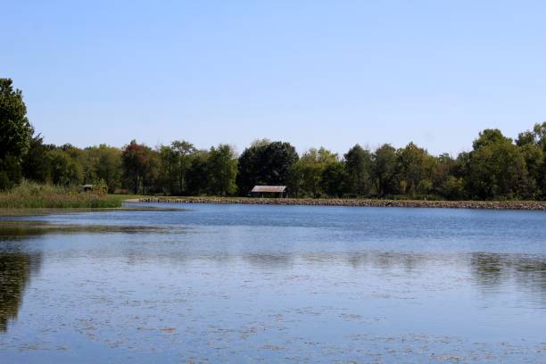 istock Bright Day at the Lake 1063683548