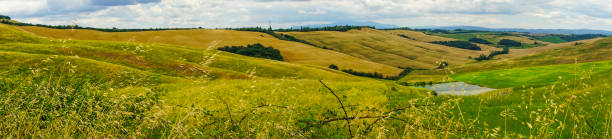 istock Panoramic view of Toscana landscape, Italy 1063686058