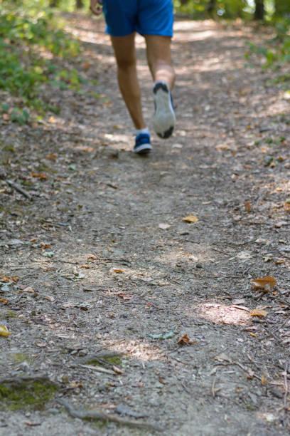 istock Male runner is jogging in the woods 1063688824