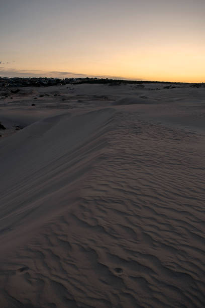 istock Sand Dunes and sunrise! 1063691568