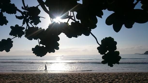 istock Sunshine in the Morning 1063693496