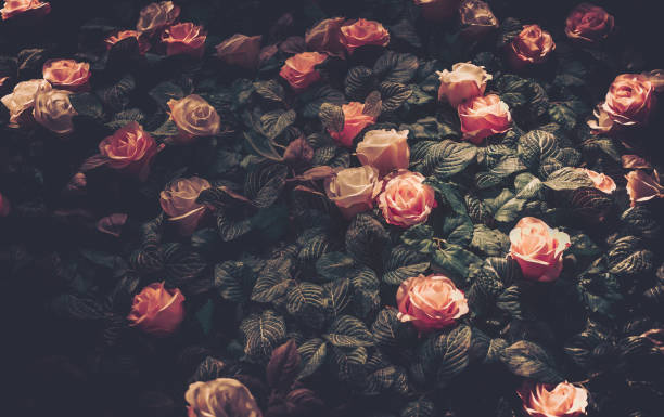 istock Artificial Flowers Wall for Background in vintage style 1063693722