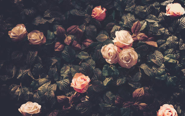 istock Artificial Flowers Wall for Background in vintage style 1063693766