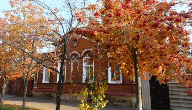 Old Russian wooden house in autumn Old Russian wooden house under rowan on Tambov street, autumn sunny day tambov oblast photos stock pictures, royalty-free photos & images