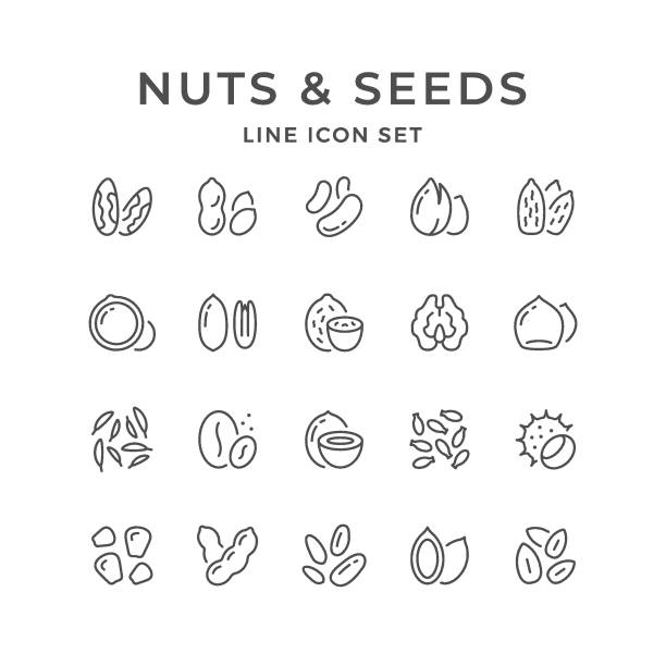 illustrations, cliparts, dessins animés et icônes de icônes de ligne réglée de noix et graines - nut snack fruit healthy eating