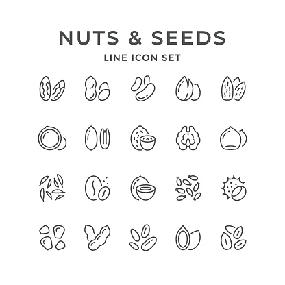 Set line icons of nuts and seeds isolated on white. Vector illustration