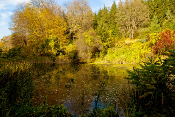 istock autumn park landscape design 1063696354