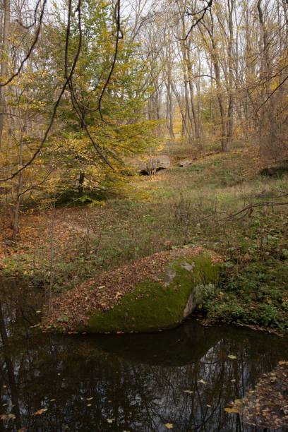 istock autumn park landscape design 1063697740