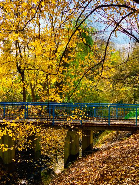 istock Public park in fall time in Europe 1063698010