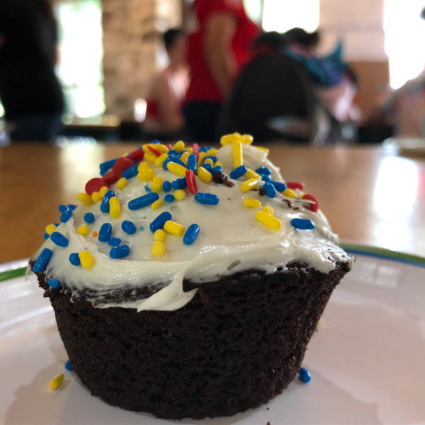 istock Homemade Cupcake with Sprinkles 1063698134