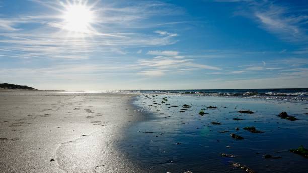 istock Sunset at a lonely north sea beach 1063698426