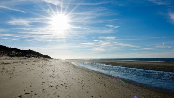 istock Sunset at a lonely north sea beach 1063698460