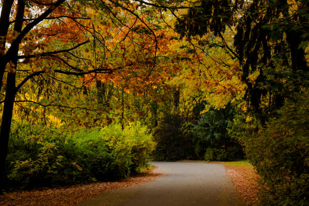 istock autumn park landscape design 1063699044