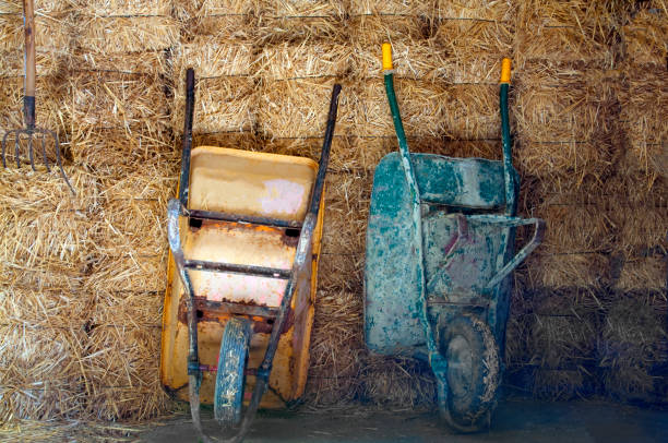 istock Two old wheelbarrows on the hay background 1063703484