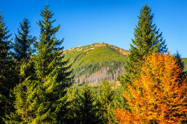istock Mountain landscape at autumn. 1063703568