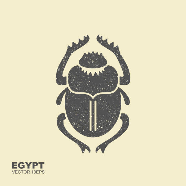 Vector Scarab Beetle. Ancient Egypt. Flat icon Vector Scarab Beetle. Ancient Egypt. Flat icon scarab beetle stock illustrations