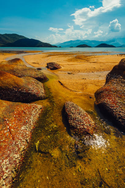 Stones on the coast of tropical sea stock photo