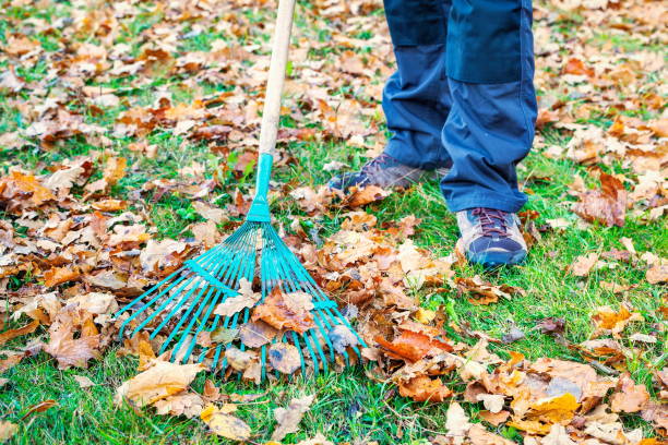 istock Man collect leaves on grass in park 1063720916