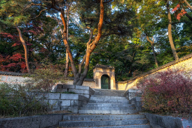istock autumn fall foliage over changdeokgung 1063725296