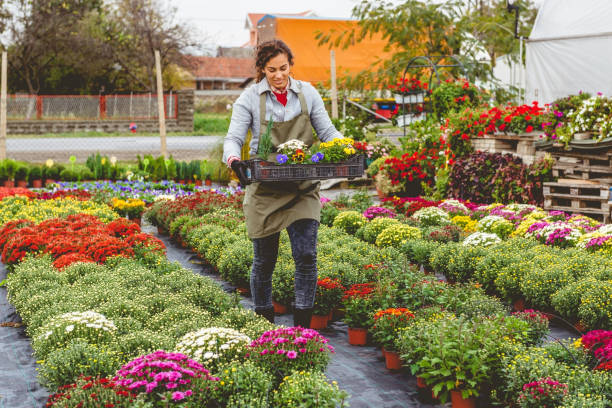 istock Carrying a crate of flowers 1063725404
